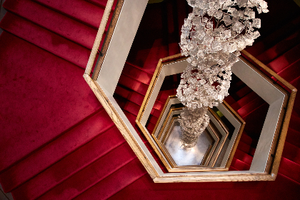Tackling Carpet Cleaning: Shou..