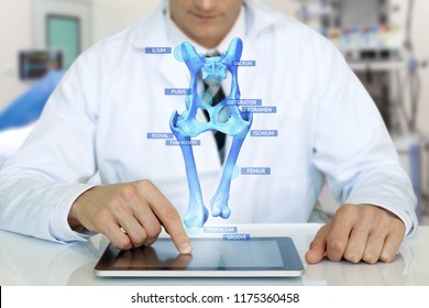The Future of Augmented Realit..