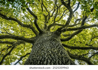 Be A Tree