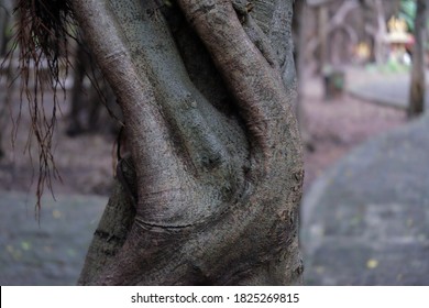 The root of two evils